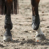Kogelbeschermers Carbon Chic Zwart Kogelbeschermers Carbon Chic Zwart