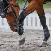 Peesbeschermers Carbon Pro Zwart Peesbeschermers Carbon Pro Zwart