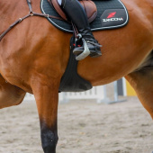 Springsingel met buikflap Techno Stud Zwart Springsingel met buikflap Techno Stud Zwart