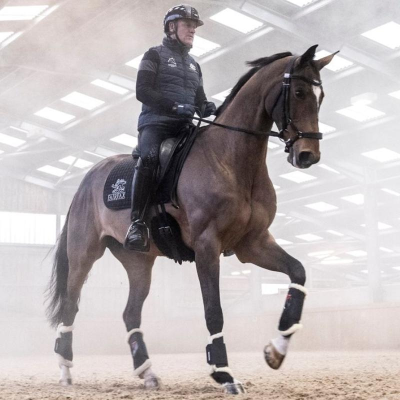 Dressuur beenbeschermers Prince Sensitive+ Front Zwart