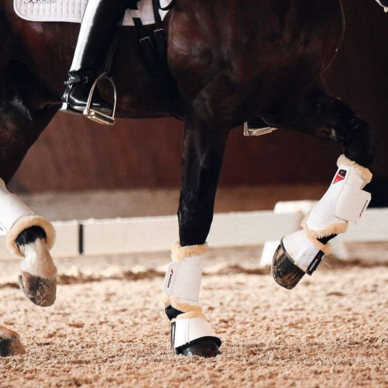 Dressuur beenbeschermers Prince Sensitive+ Front Wit