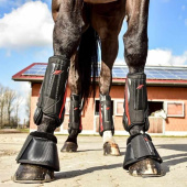 Springschoenen X-Bell Furry Zwart Springschoenen X-Bell Furry Zwart