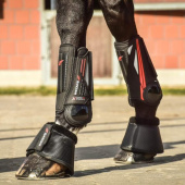 Springschoenen X-Bell Pony Furry Zwart Springschoenen X-Bell Pony Furry Zwart