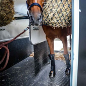 Transportbeschermers Pro-Safe Front Zwart Transportbeschermers Pro-Safe Front Zwart