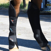 Transportbeschermers Pro-Safe Rear Zwart Transportbeschermers Pro-Safe Rear Zwart
