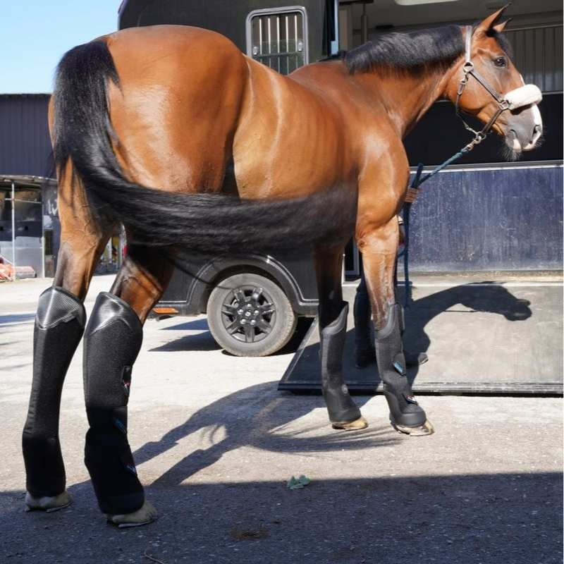 Transportbeschermers Pro-Safe Rear Zwart
