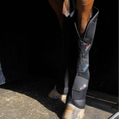 Transportbeschermers Pro-Safe Rear Zwart Transportbeschermers Pro-Safe Rear Zwart