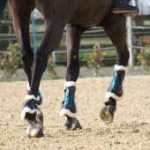 Peesbeschermers eAirshock Fluffy Zwart Peesbeschermers eAirshock Fluffy Zwart