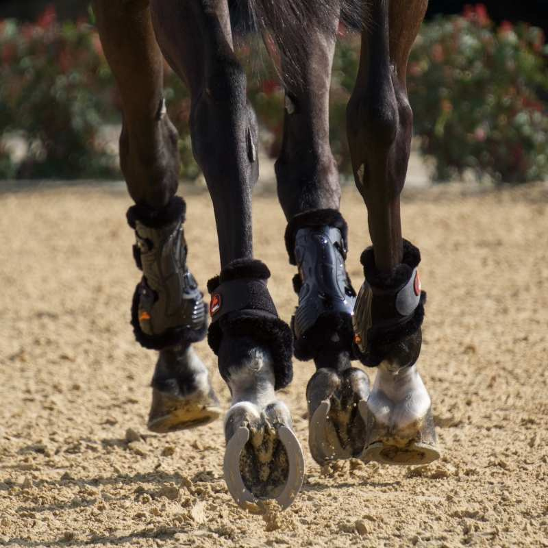 Peesbeschermers eAirshock Legend Fluffy Zwart