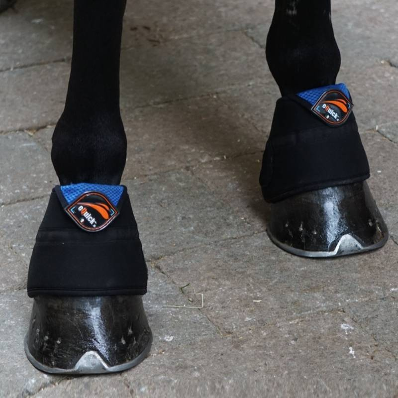Koelhoefschoenen eArtik Zwart