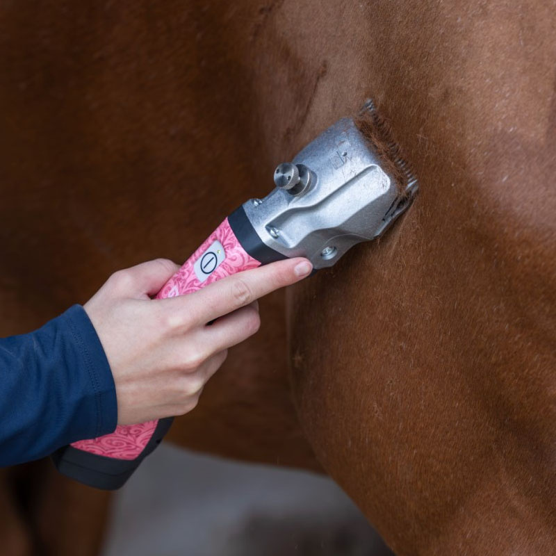 Scheermachine Bonum Pro 1 Battery Roze