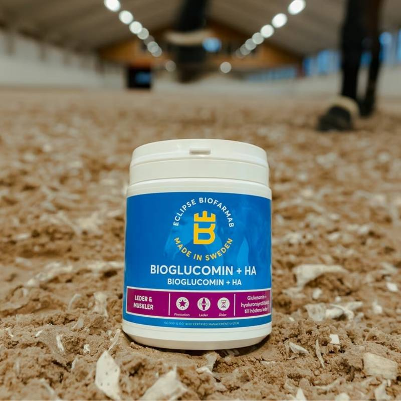 BioGlucomin+HA 450 g