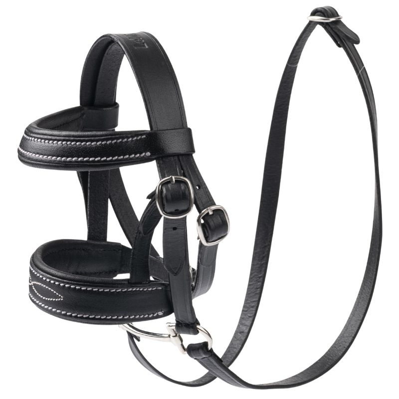Hoofdstel Toy Pony Zwart