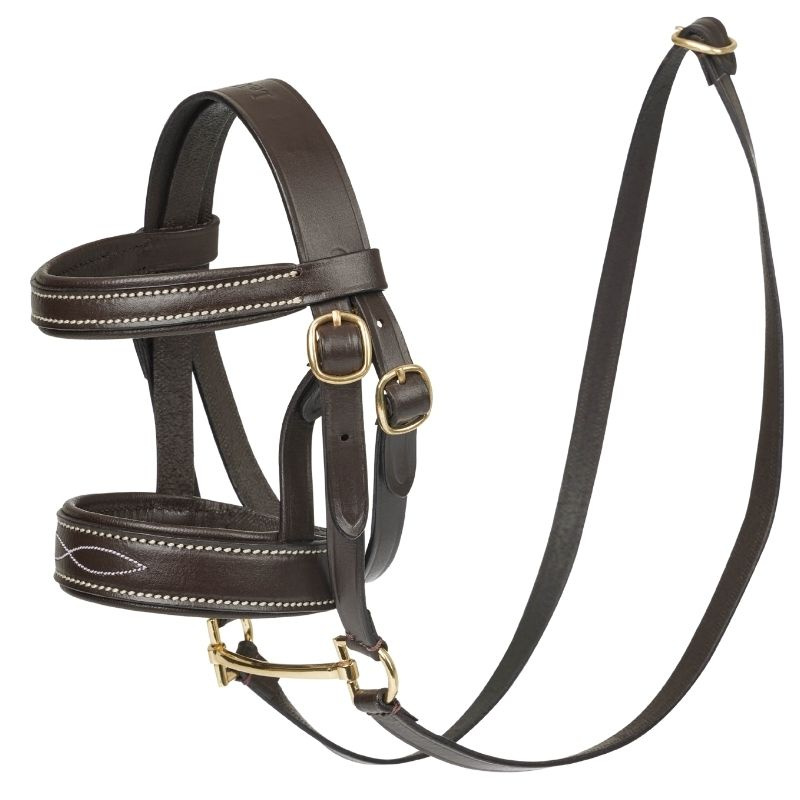 Hoofdstel Toy Pony Bruin