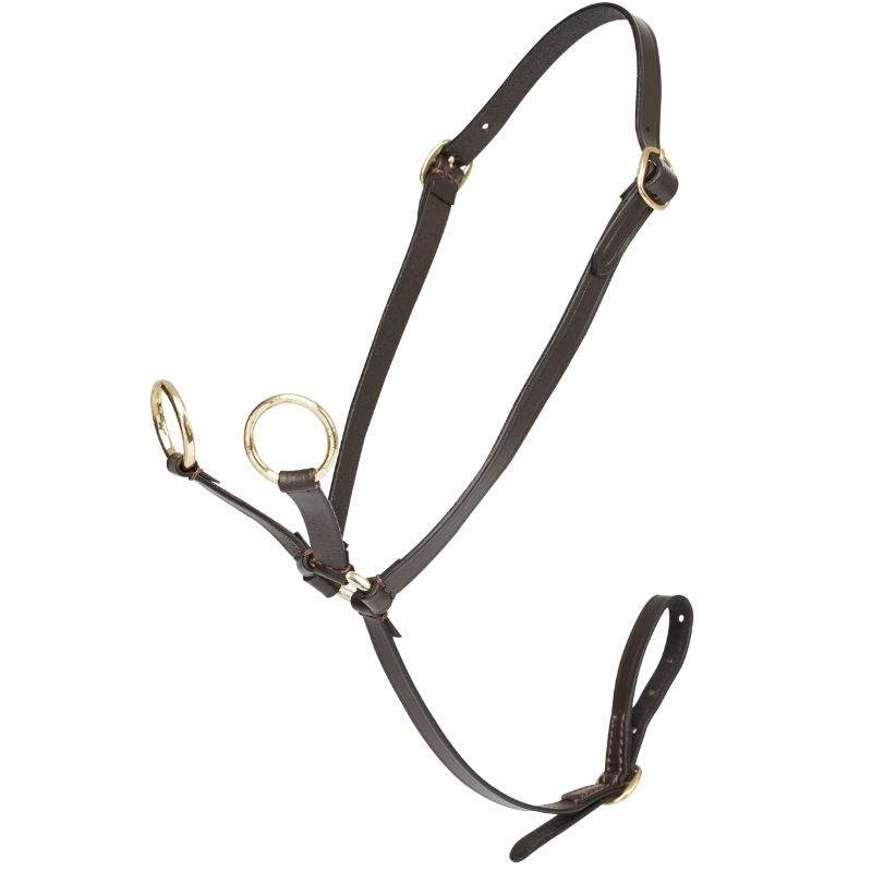 Martingaal Toy Pony Bruin