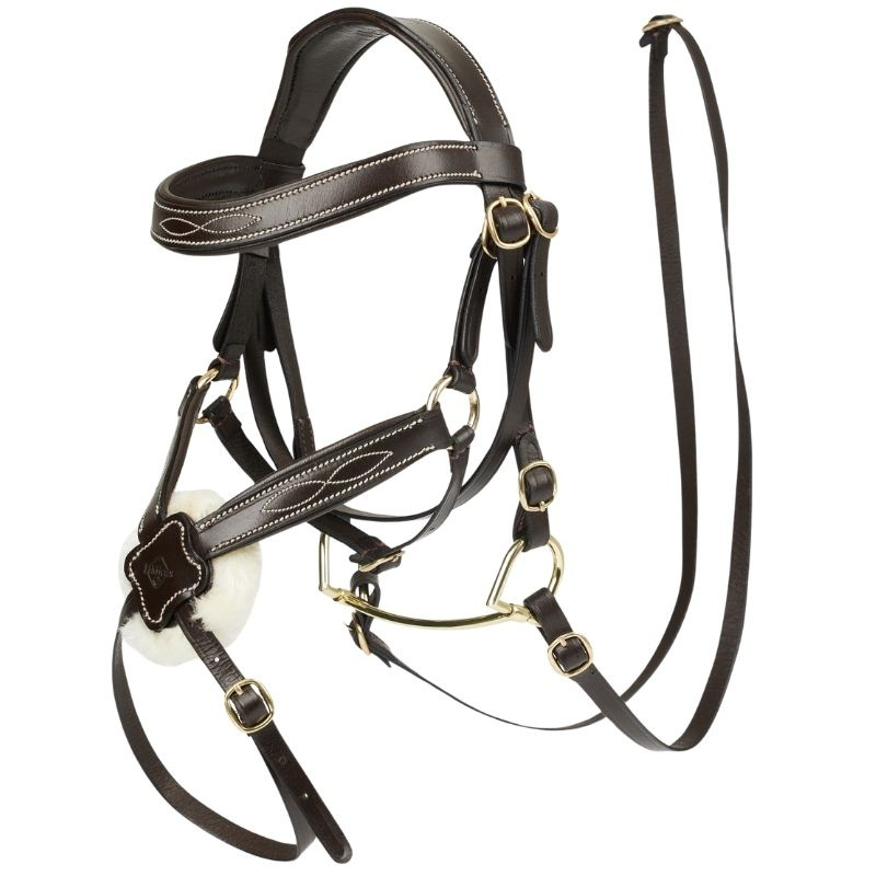 Hoofdstel voor stokpaard Grackle Bruin