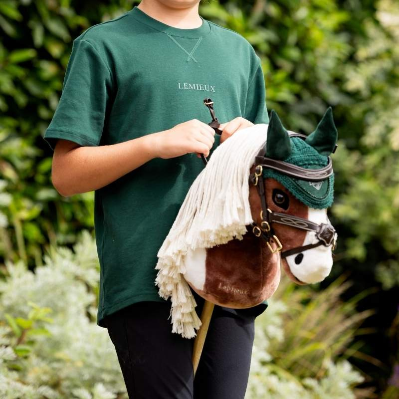 Hoofdstel voor stokpaard Grackle Bruin