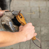 Hoefkrabber Artisan Bruin Hoefkrabber Artisan Bruin