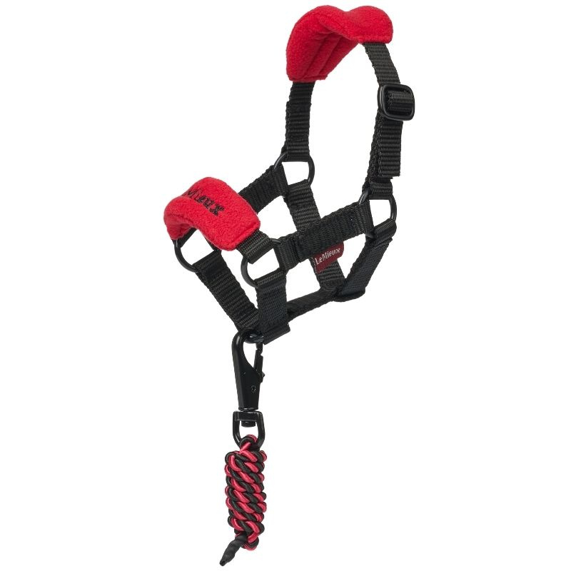 Halster Toy Pony Vogue Rood