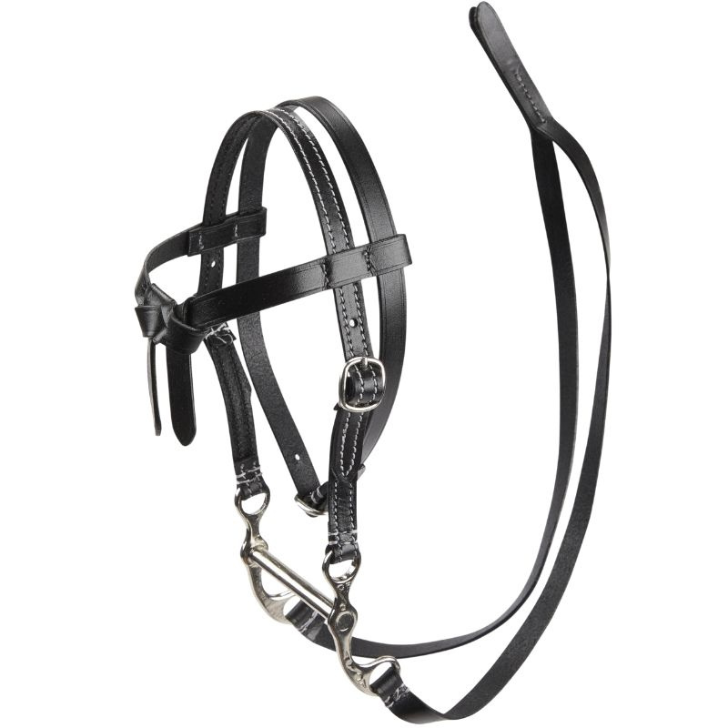 Westernhoofdstel Toy Pony Zwart