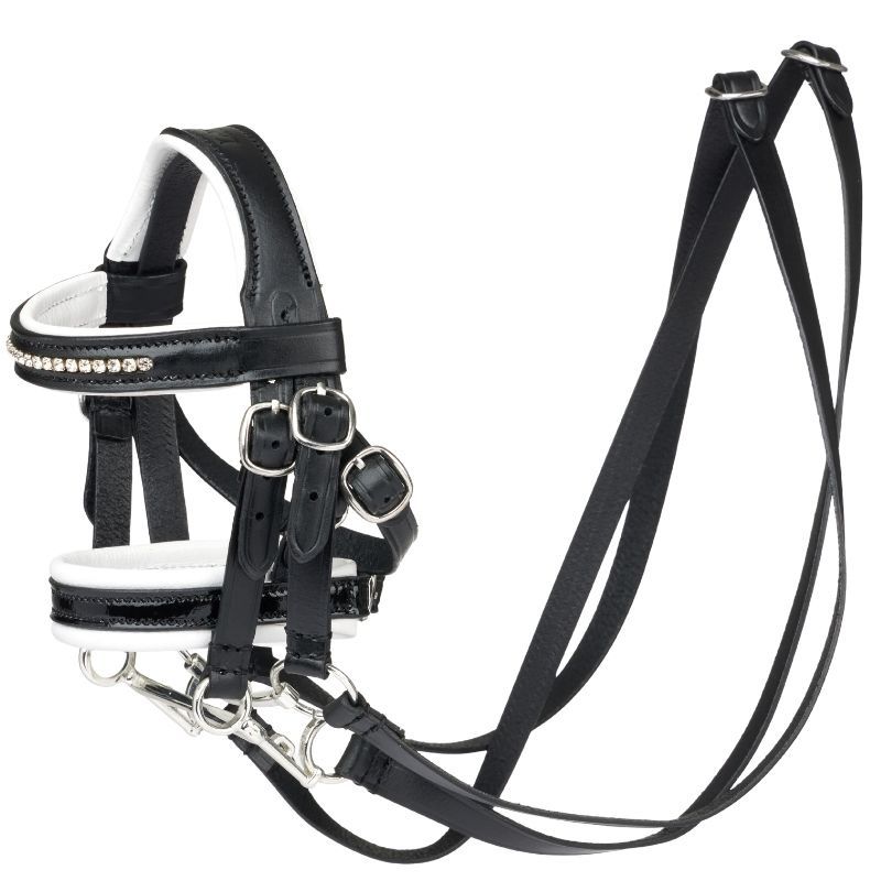 Kandarhoofdstel Toy Pony Zwart