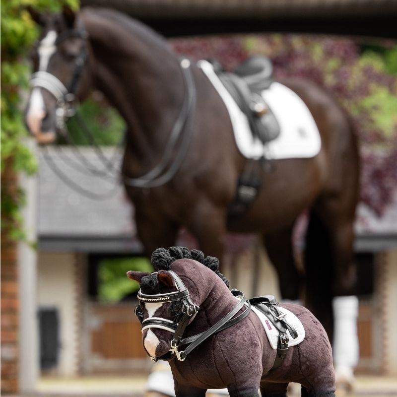Kandarhoofdstel Toy Pony Zwart
