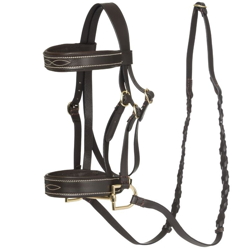 Hoofdstel voor stokpaard Hunter Bruin