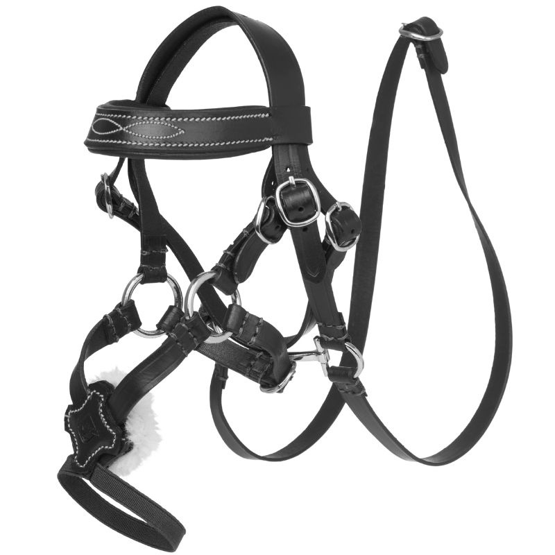 Hoofdstel Toy Pony Grackle Zwart
