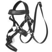Hoofdstel Toy Pony Grackle Zwart Hoofdstel Toy Pony Grackle Zwart