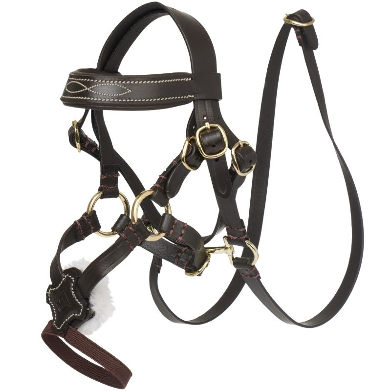 Hoofdstel Toy Pony Grackle Bruin