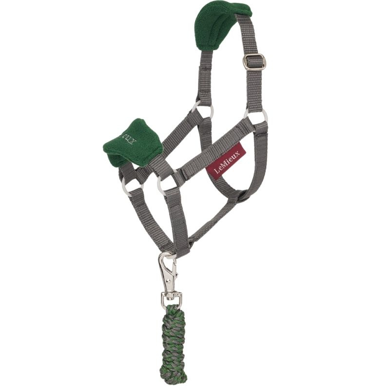 Halster & Halstertouw voor Stokpaard Vogue Groen
