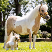 Speelgoedpaard Toy Pony Lemon Speelgoedpaard Toy Pony Lemon
