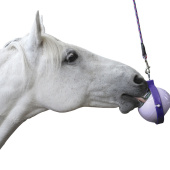 Houder Boredom Buster Niveau 3 Paars Houder Boredom Buster Niveau 3 Paars