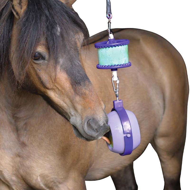 Houder Boredom Buster Niveau 3 Paars