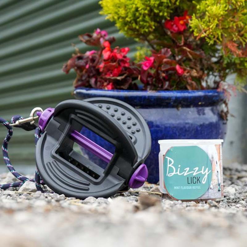 Houder Bizzy Ball Zwart