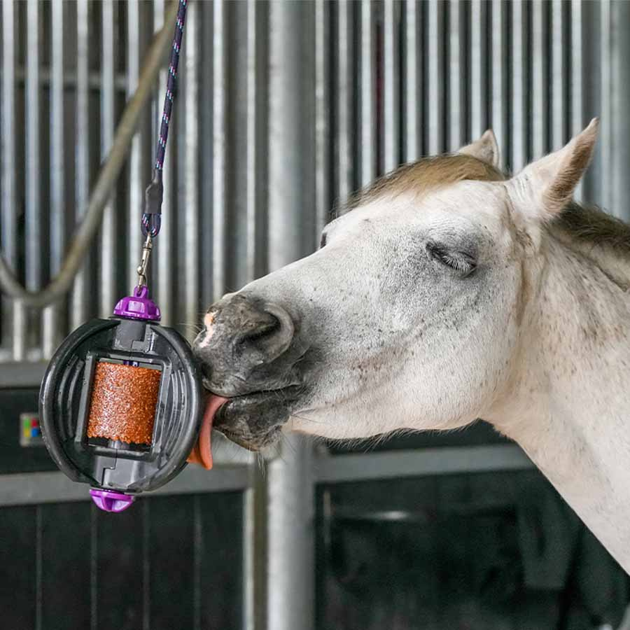 Houder Bizzy Ball Zwart