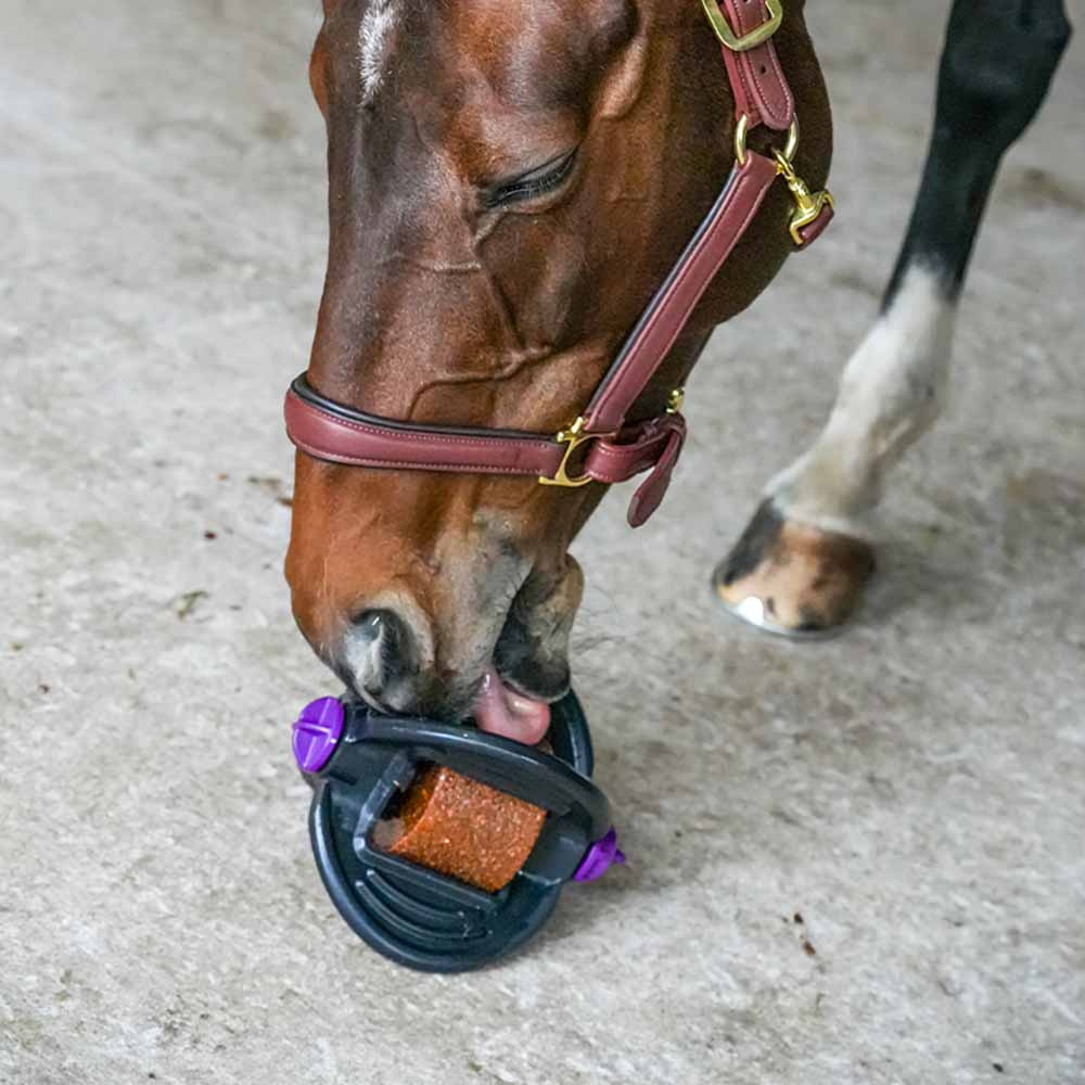 Houder Bizzy Ball Zwart