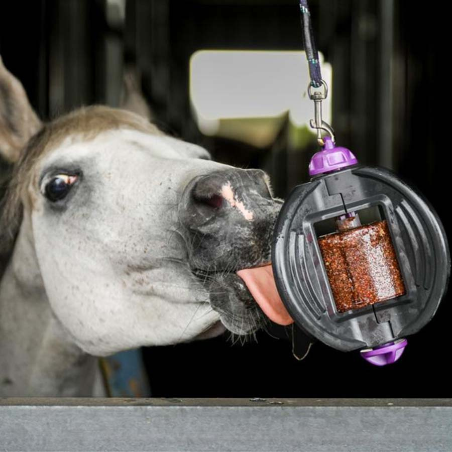 Liksteen Bizzy Lick Original Refill 1kg