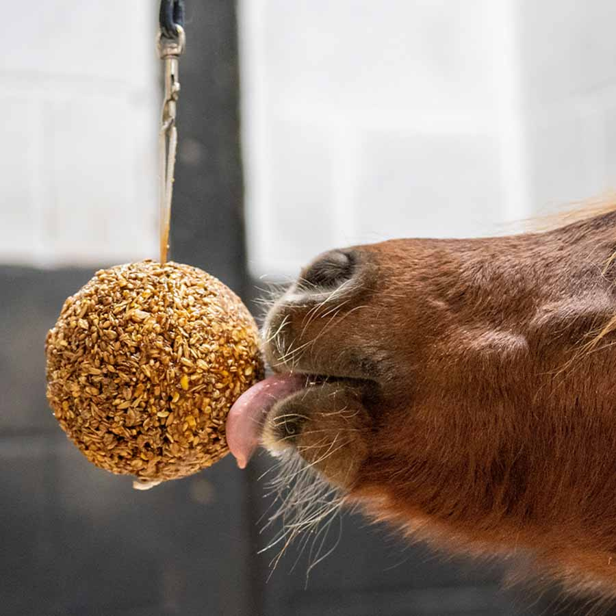 Stalbal Granola Apple 1,6kg