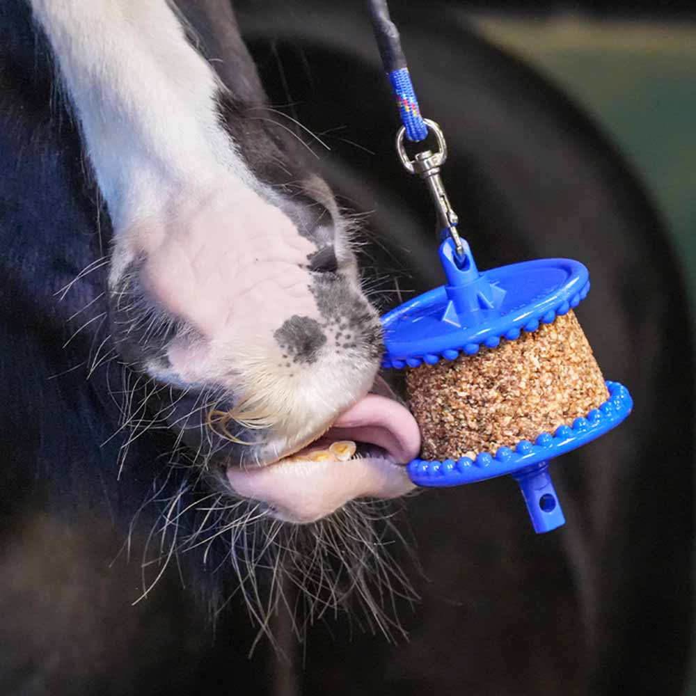 Liksteen GranoLo Appel Navulling met Gat 400g