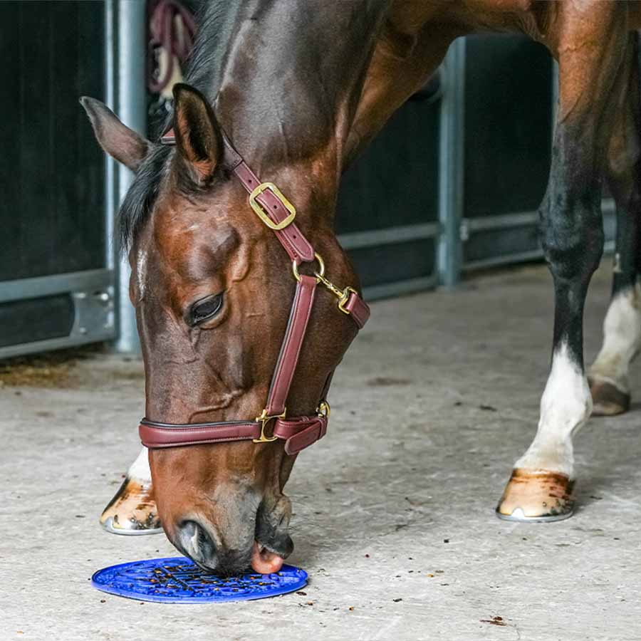 Slikmat Graze Maze Lick Mat Niveau 1 Blauw