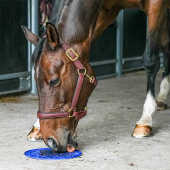 Slikmat Graze Maze Lick Mat Niveau 1 Blauw Slikmat Graze Maze Lick Mat Niveau 1 Blauw