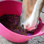 Slikmat Graze Maze Lick Mat Niveau 1 Lavendel Slikmat Graze Maze Lick Mat Niveau 1 Lavendel