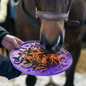 Slikmat Graze Maze Lick Mat Niveau 1 Lavendel Slikmat Graze Maze Lick Mat Niveau 1 Lavendel