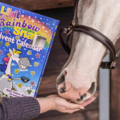 Adventskalender Paardensnoepjes Rainbow Snaks 200g Adventskalender Paardensnoepjes Rainbow Snaks 200g