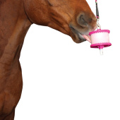 Houder Niveau 1 Roze/Glitter Houder Niveau 1 Roze/Glitter
