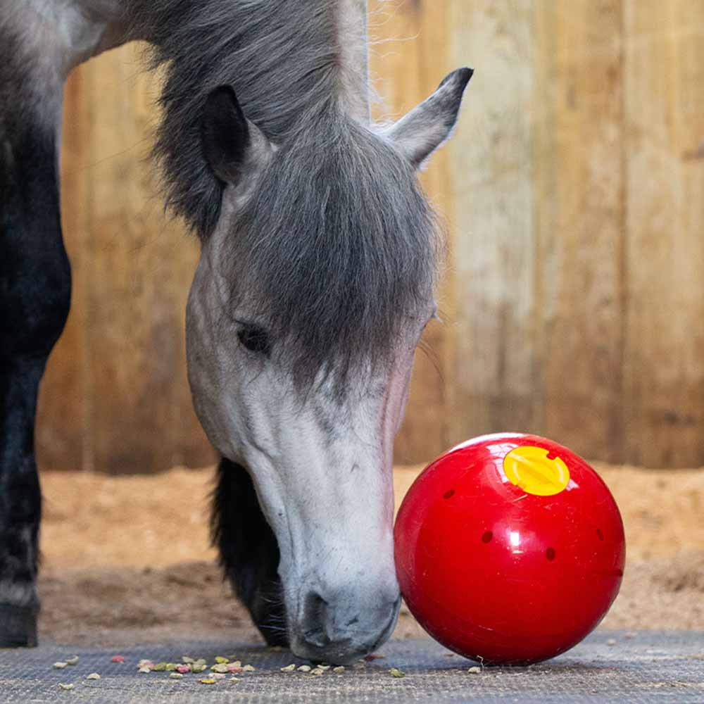Snoepbal Snak-a-Ball Niveau 2 Rood