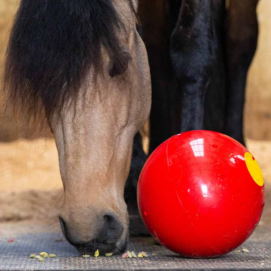 Snoepbal Snak-a-Ball Niveau 2 Rood