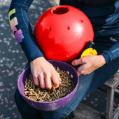 Snoepbal Snak-a-Ball Niveau 2 Rood Snoepbal Snak-a-Ball Niveau 2 Rood