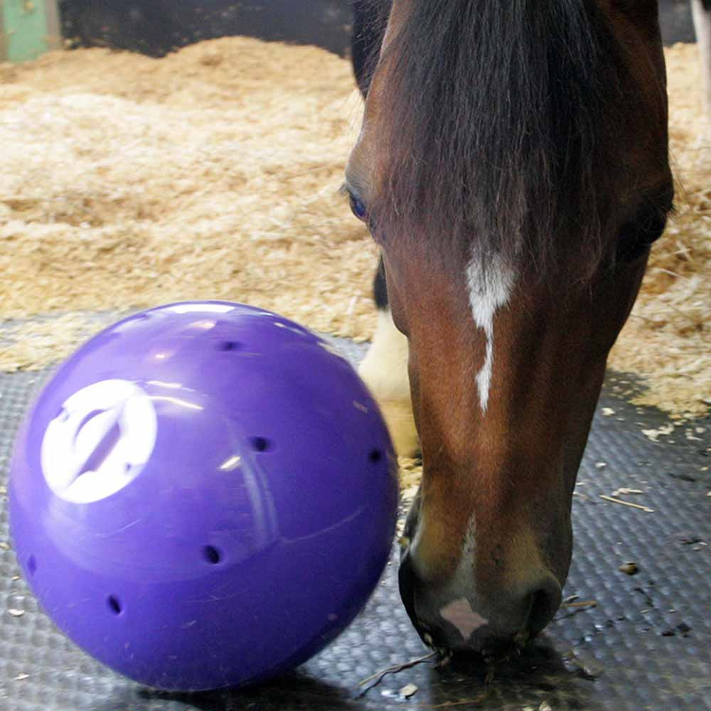 Snoepbal Snak-a-Ball Niveau 2 Paars